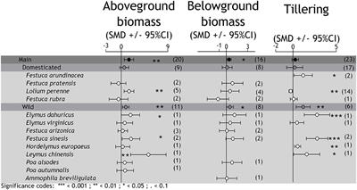 A Systematic Review on the Effects of Epichloë Fungal Endophytes on Drought Tolerance in Cool-Season Grasses